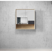 Shaving cabinet (51)
