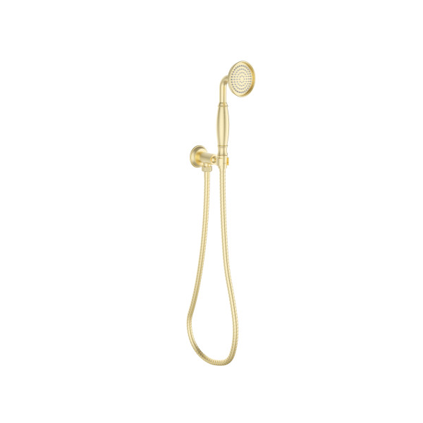Clasico Hand shower on wall out let bracket HPA868-101-1BG ACL