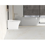LK-L318SMWFP Smart Toilet Back to Wall