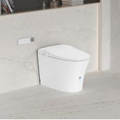 SMART TOILET AND BIDET SEAT (3)
