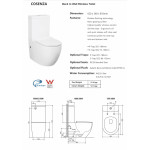 Cosenza Rimless Back to Wall Faced Toilet Suite