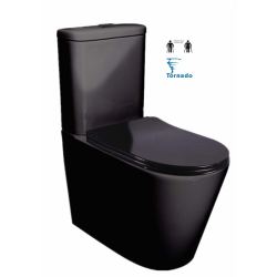 Feanza Black Tornado Back to Wall Toilet Suite