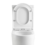 Lukka Procida Tornado Rimless Toilet Suite 655*390*860 LK-PR002