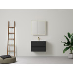 LK-FH750NW  New Hamilton Wall Hung Cabinet Matte white/Grey/Black 3 colors