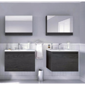 Wall Hung (257)