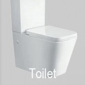 Toilet (59)