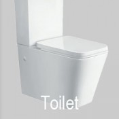 Toilet (61)